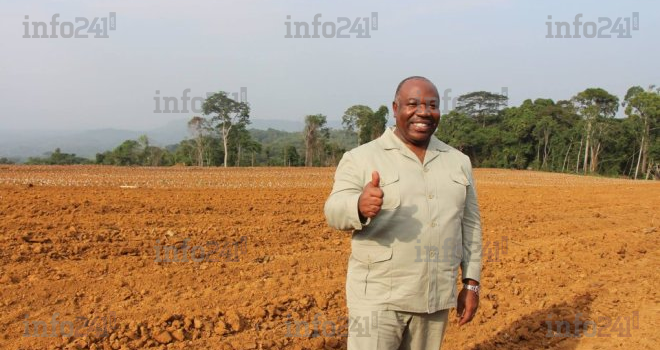 Graine&nbsp;: Ali Bongo promet un salaire de 100.000 FCFA aux agriculteurs dès février