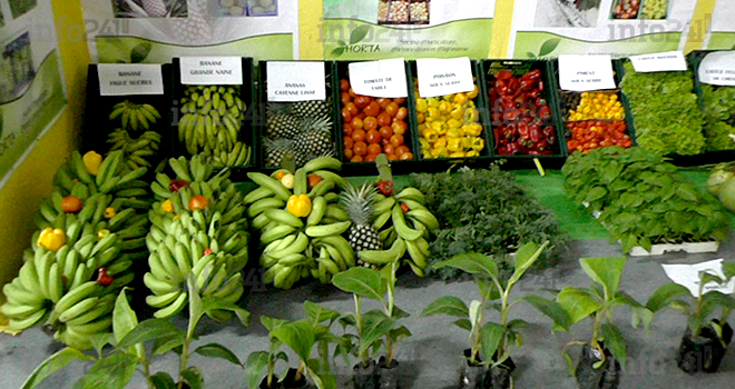 Agriculture&nbsp;: Libreville accueille depuis ce matin sa seconde foire agricole