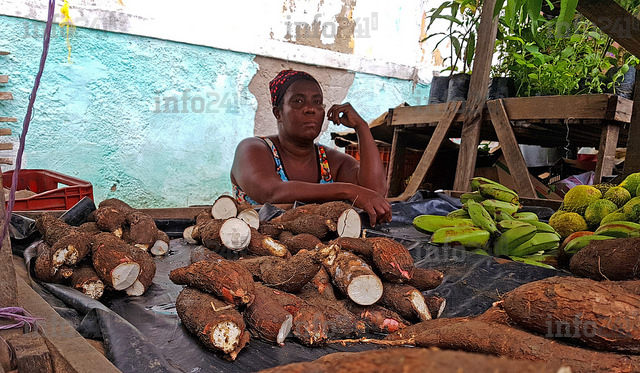  Le bâton de manioc très prisé des gabonais, se raréfie des étals des marchés&nbsp;!