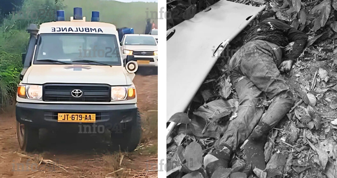 Gabon&nbsp;: Une mère de famille de 58 ans préférant la foi à la fuite, tuée par un troupeau d’éléphants