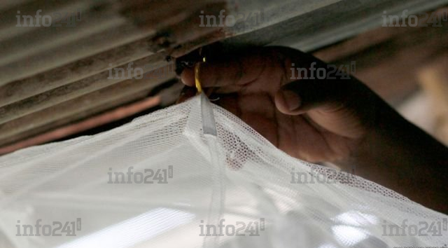 Installation de moustiquaire et entretien&nbsp;: conseils utiles