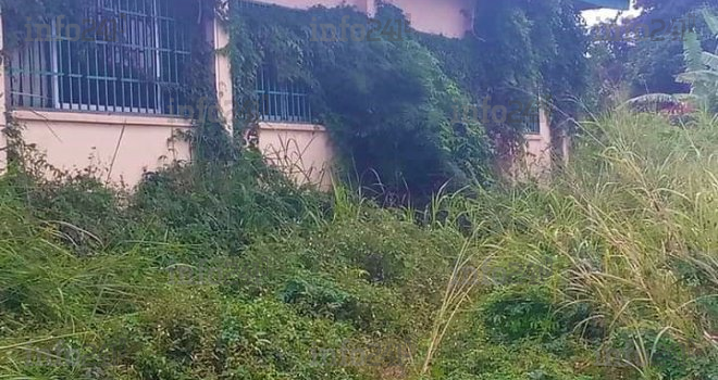 Université Omar Bongo, de temple du savoir à celui des hautes herbes&nbsp;!