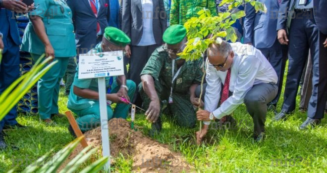 Côte d’Ivoire&nbsp;: le pays a replanté 38 millions d’arbres pour la reconstitution de son couvert forestier