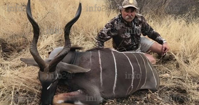 Gabon&nbsp;: Un millionnaire américain tué par un troupeau d’éléphants lors d’une expédition de chasse