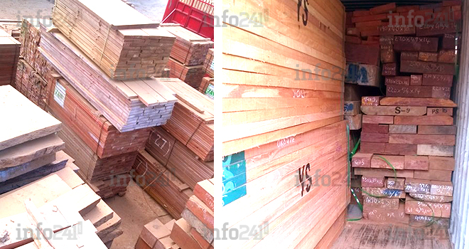 Une entreprise chinoise surprise en contrebande d’exportation du Kevazingo au Gabon