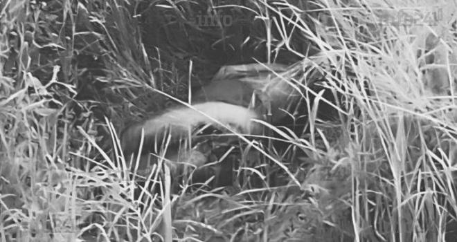 Gabon&nbsp;: Une femme retrouvée morte et nue à Akanda, la psychose gagne le Grand Libreville