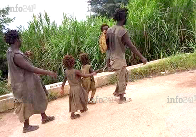 Nouveau gouvernement&nbsp;: quelles politiques pour la culture et les malades mentaux&nbsp;?