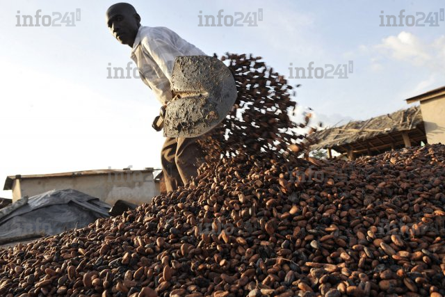 La BAD investit 13 milliards de FCFA pour faire émerger des multinationales africaines