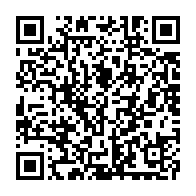 qrcode:https://www.info241.ga/greve-illimitee-a-l-artf-salaires-impayes-owendo-sur-les-rails,2680