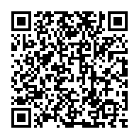 qrcode:https://www.info241.ga/du-terrain-politique-a-l-amour-zora-kassa-et-kevin-nzigou,10555