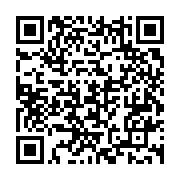 qrcode:https://www.info241.ga/tchad-le-fils-d-idriss-deby-se-fait-president-un-conseil,813