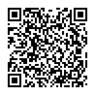 qrcode:https://www.info241.ga/niger-l-allemagne-evacue-son-ambassade-a-niamey-et-appelle-ses,2754