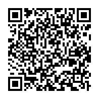 qrcode:https://www.info241.ga/libre-circulation-en-zone-cemac-des-concertations-a-libreville,113
