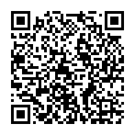 qrcode:https://www.info241.ga/presidentielle-2023-candidat-contre-le-grand-remplacement-assele,1796