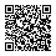 qrcode:https://www.info241.ga/des-investisseurs-turcs-chez-la-ministre-carmen-ndaot,005