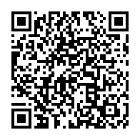 qrcode:https://www.info241.ga/la-chute-d-un-arbre-fait-un-mort-et-un-blesse-grave-a-koungoule,641