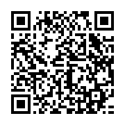 qrcode:https://www.info241.ga/centrafrique-trois-casques-bleus-senegalais-morts-dans-un,4673
