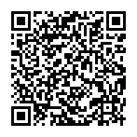 qrcode:https://www.info241.ga/niger-la-junte-debaptise-les-rues-et-monuments-aux-noms-francais,2192