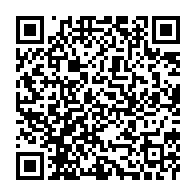 qrcode:https://www.info241.ga/centrafrique-le-bilan-du-naufrage-d-une-baleiniere-s-alourdit-a,2045