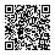qrcode:https://www.info241.ga/constitution-billie-by-nze-defie-oligui-nguema-a-un-debat,9630