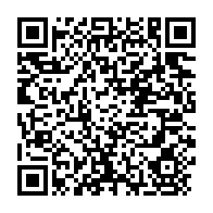 qrcode:https://www.info241.ga/jean-boniface-assele-pourrait-defier-son-neveu-a-la-prochaine,1135