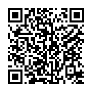 qrcode:https://www.info241.ga/bilie-by-nze-et-son-revenu-universel-promesse-sincere-ou,10177