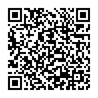 qrcode:https://www.info241.ga/tentative-de-vol-avec-arme-apparente-20-ans-de-prison-pour-deux,10654