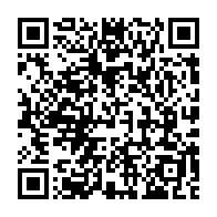 qrcode:https://www.info241.ga/niger-44-civils-ont-ete-tues-dans-une-attaque-terroriste-dans-le,2341