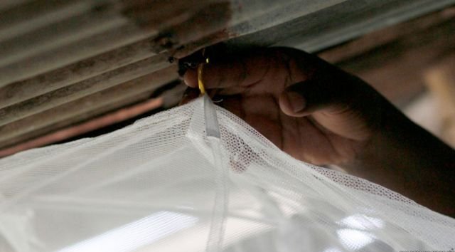 Installation de moustiquaire et entretien&nbsp;: conseils utiles