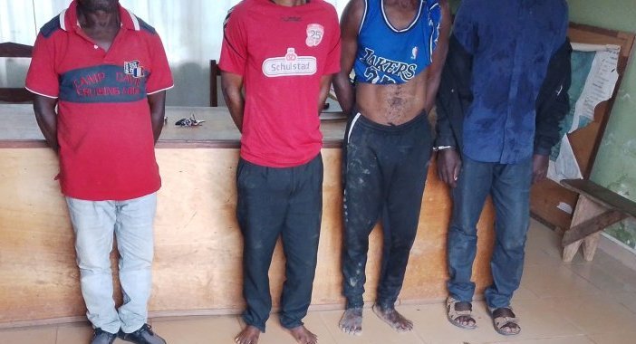 Gabon&nbsp;: 4 trafiquants d’ivoire dont un récidiviste, arrêtés avec 14 défenses d’éléphants à Makokou