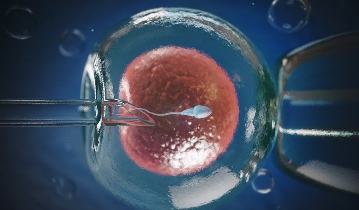 Fécondation in vitro au Gabon&nbsp;: il faudra débourser jusqu’à 3,5 millions à Jeanne Ebori&nbsp;!