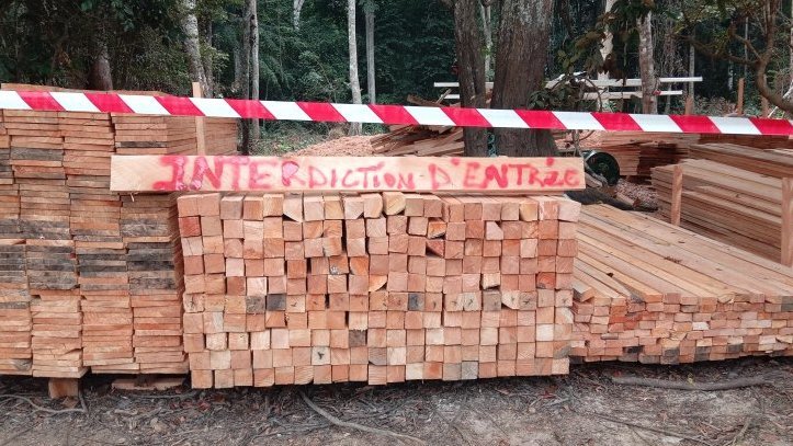 Lambaréné&nbsp;: Un élu local au cœur d’un scandale d’exploitation forestière illégale avec sa famille